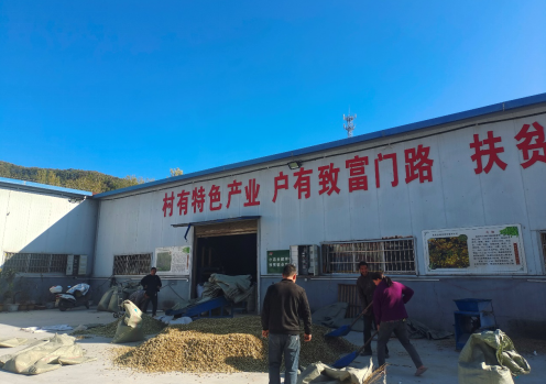 图片.png