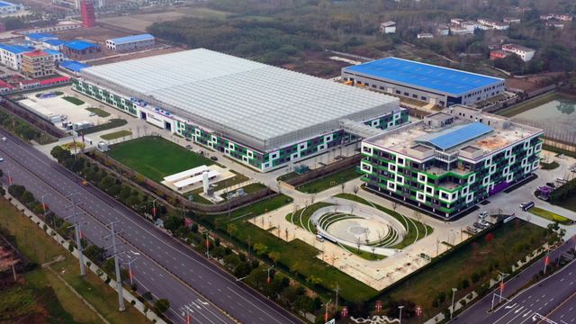 图片 1.jpg
