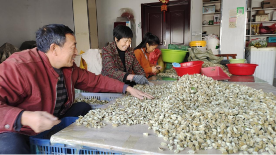 图片.png