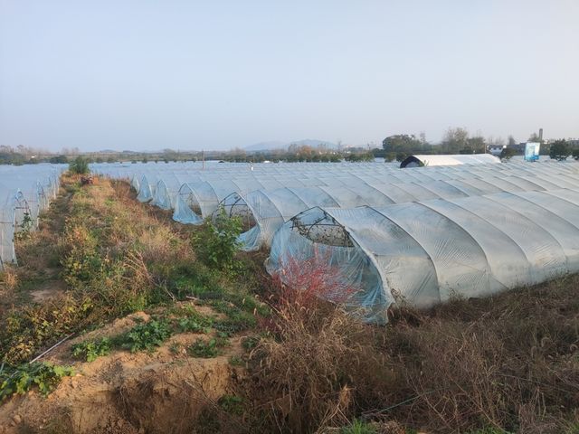图片 1.jpg