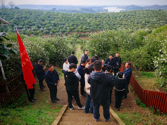 202411/22/0257579_38.jpg 图片 2.jpg