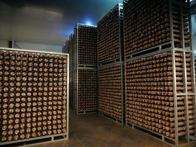 202411/22/0258281_23.jpg 图片 4.jpg