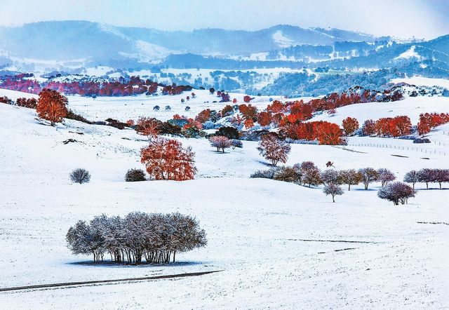 冬日雪景