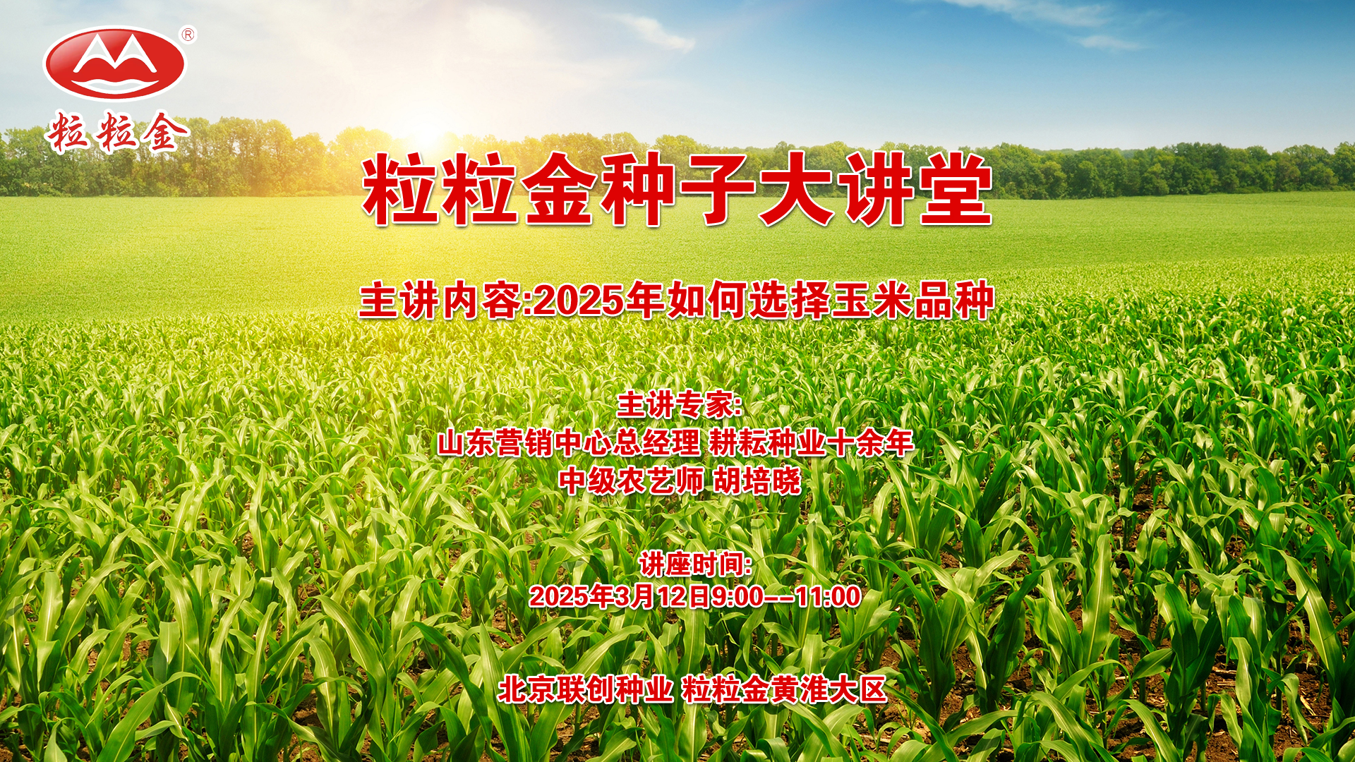 粒粒金种子大讲堂：2025年如何选择玉米品种