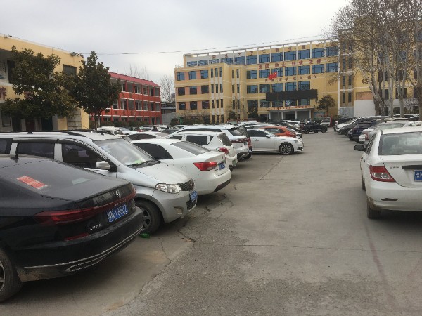 mmexport1738808687940.jpg