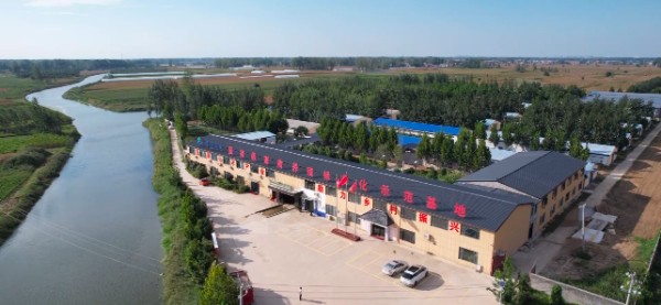 mmexport1747238709365.jpg