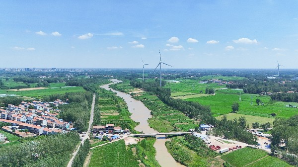 image_1754189114331.jpg