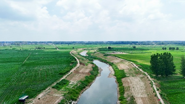 image_1754189104386.jpg