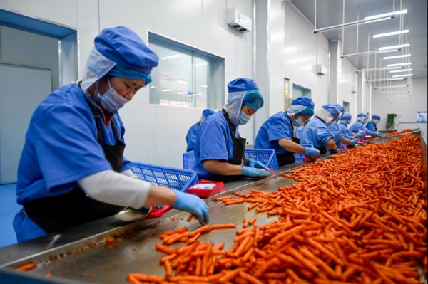 南阳市宛城区：“链式”深耕食品产业链 协同共筑发展新引擎