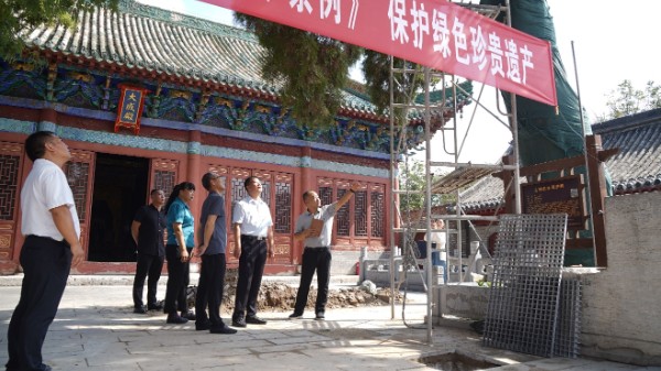 《古树名木保护条例》宣传活动3.png
