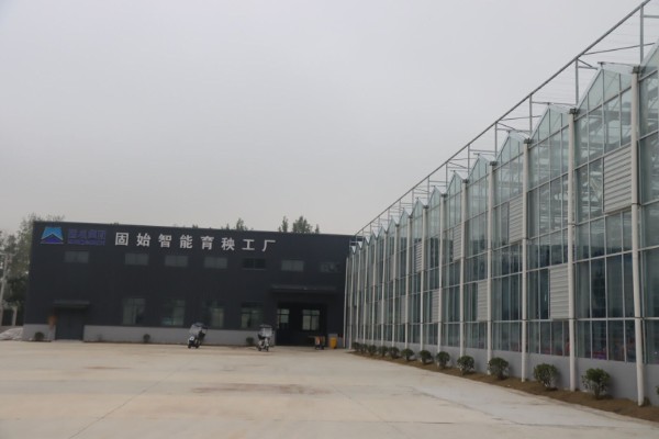 固始县：丰收背后藏着的“密码”