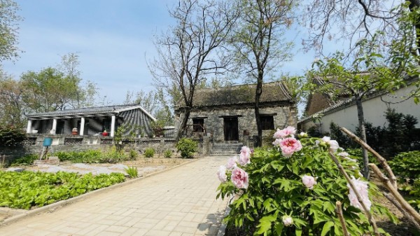 开封市祥符区罗王镇：以人居环境整治为笔 绘就生态文明新画卷