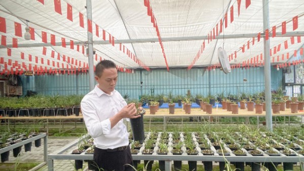 桐柏县大河镇：深山养兰人黄俊——以政协委员担当领航兰花产业 绘就乡村振兴新图景