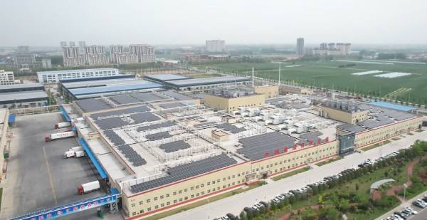 聚力产业发展 绘就振兴新画卷