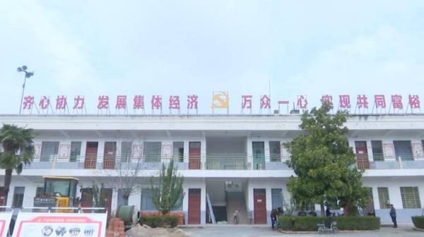 14省基层干部到周口市七二村集中“取经”