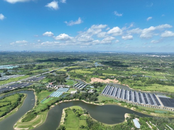 平桥区五里镇：智慧农业“种”出新图景 家门口就业铺就振兴路