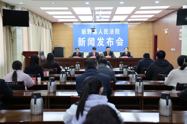 新野县人民法院召开民商事审判工作新闻发布会