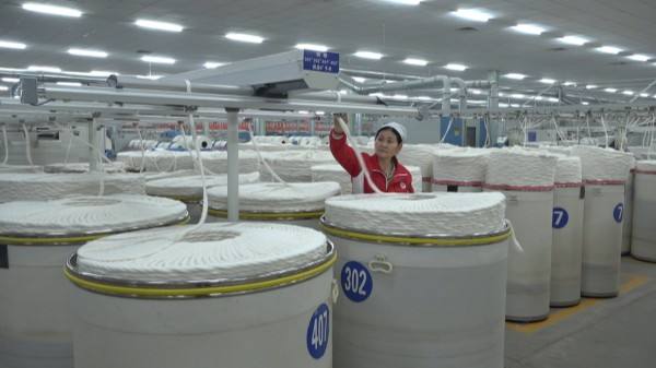 太康：开局忙生产 冲刺“开门红”