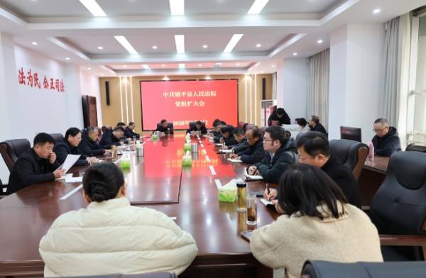镇平县人民法院召开党组（扩大）会——传达学习全市基层法院院长会议暨党风廉政建设工作会议精神