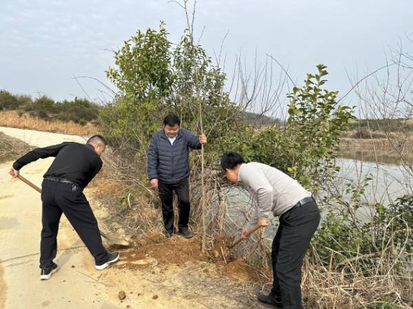 “植”此青绿 共“树”未来——光山县司法局机关党支部与方洼村党支部联合开展义务植树主题党日活动