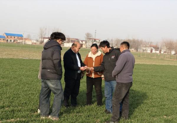 郸城：当好“田保姆” 托起“智慧田”