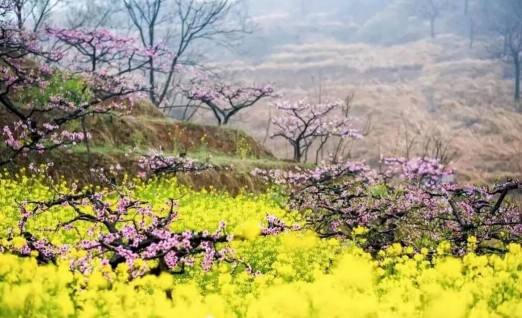 春满襄城：文旅融合绘新篇 烟火气里话振兴