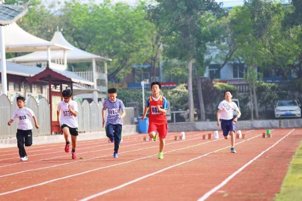 活力鼓楼展风采 健康学校向未来——开封市鼓楼区2026年田径运动会举行