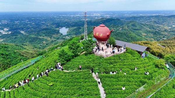 微信图片_20260505140207_20_44.jpg