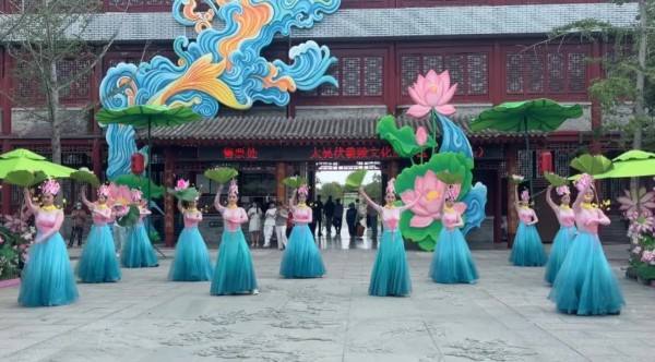 以荷为媒  第五届周口荷花节开幕