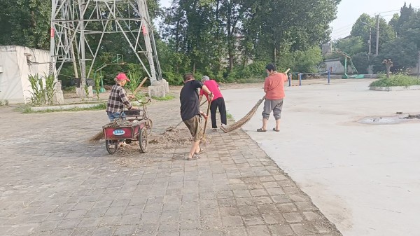 IMG_20260713_110001.jpg