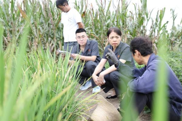从“结案了事”到“案结事了人和”——新野县人民法院沙堰人民法庭以实质解纷重塑基层审判思维模式