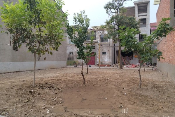 mmexport1789828376783.jpg
