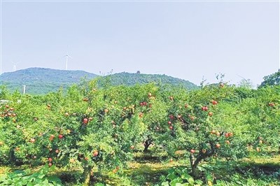 image_1791422471118.jpg