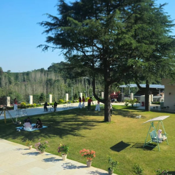 image_1791944605831.png